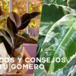 Restaurantes con Terraza en El Pont de Vilomara i Rocafort: Mejores Opciones