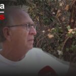 Cursos de Programaci&oacute;n en Fonollosa: D&oacute;nde Encontrarlos