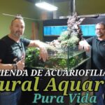 Tiendas de Diseño en El Pont de Vilomara i Rocafort