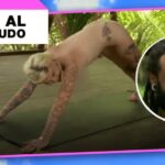 Actividades al Aire Libre en Callús: Descubre lo Mejor