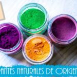 Centros de Estética Veganos en Súria: Opciones y Tratamientos