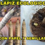 Guía para Comprar Productos Ecológicos en Aguilar de Segarra