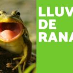 Clima Veraniego en Fonollosa: Todo lo que Necesitas Saber