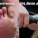 Normativas Esenciales para Tener un Perro en Navarcles